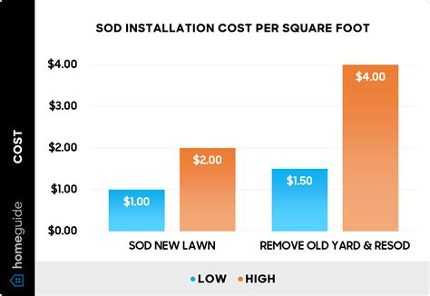 How Much Does Sod Installation Cost? (2025)