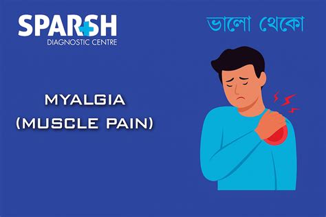 Myalgia (Muscle Pain): Causes, Symptoms, Diagnosis, and Treatment - Sparsh Diagnostic Center