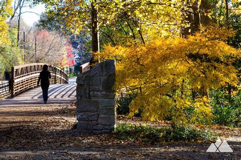 Chastain Park Amphitheatre Seating Chart