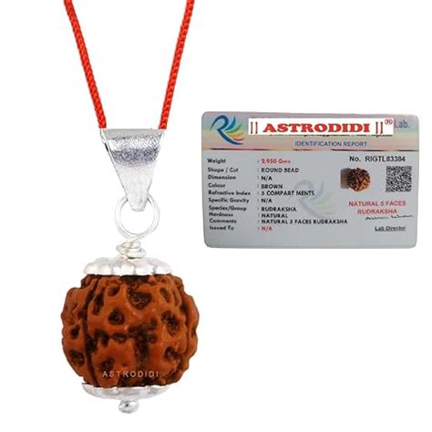 ASTRODIDI 5 Mukhi Rudraksha Original Certified Silver Plated Pendant ...