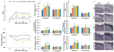 Reduced GFAP Expression in Bergmann Glial Cells in the Cerebellum of ...