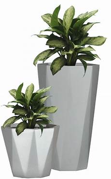 Industrial Home With Interior Planting And Transparent Walls by Pattern Garden Planter Small Flower Pot Industrial Home With Interior Planting And Transparent Walls