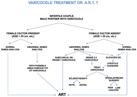 Varicocele Natural Treatment