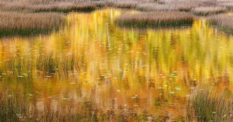 Center for Resilient Conservation Science
