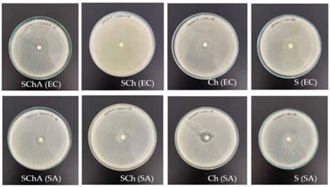 Development of an Indicator Film Based on Cassava Starch–Chitosan ...