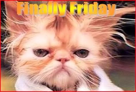Its Finally Friday Pictures, Photos, and Images for Facebook, Tumblr ...