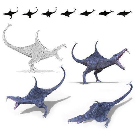 Image result for Dolphin Evolution