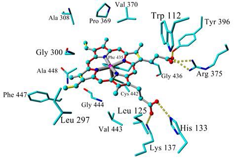 Improved Homology Model of the Human all-trans Retinoic Acid ...