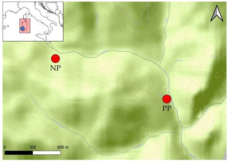 Seed Bank Conservation and Incipient Seed Development in Orchids ...