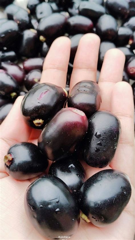 10 Reasons Why Jamuns Deserve A Spot In Your Diet