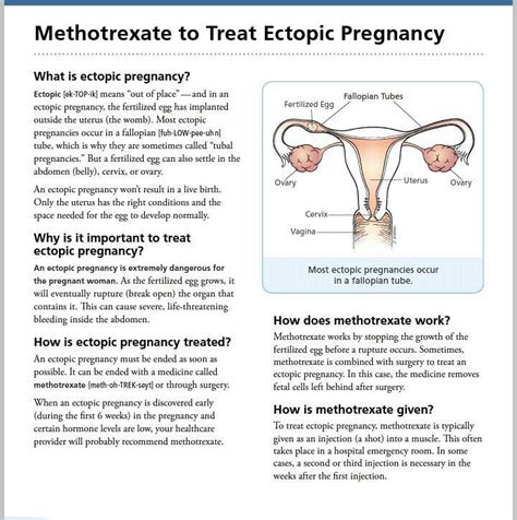 Within how many days ectopic pregnancy can be terminated by ...
