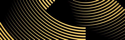 Image result for CWC Trophy