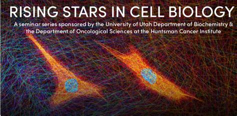 Activities | Biochemistry | U of U School of Medicine
