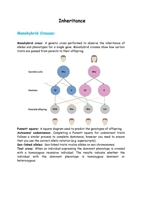 Inheritance - ......... - Inheritance Monohybrid Crosses: Monohybrid ...