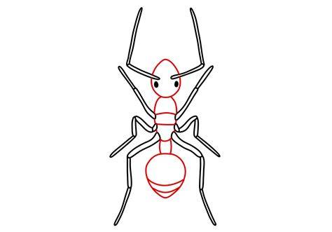 How to Draw an Ant | Design School