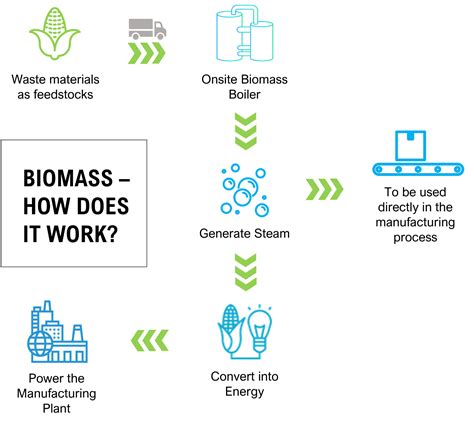 Bioenergy Process 的图像结果