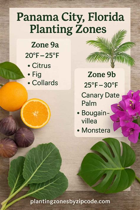 2 Planting Zone in Panama City Florida with Map - plantingzonesbyzipcode