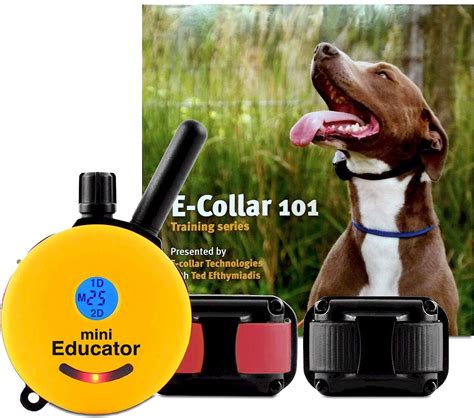 EDUCATOR By E-Collar Technologies Mini 1/2 Mile E-Collar Waterproof Dog ...