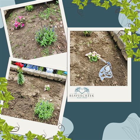 Beavercreek Health and Rehab on LinkedIn: #gardenclub #beavercreekrehab