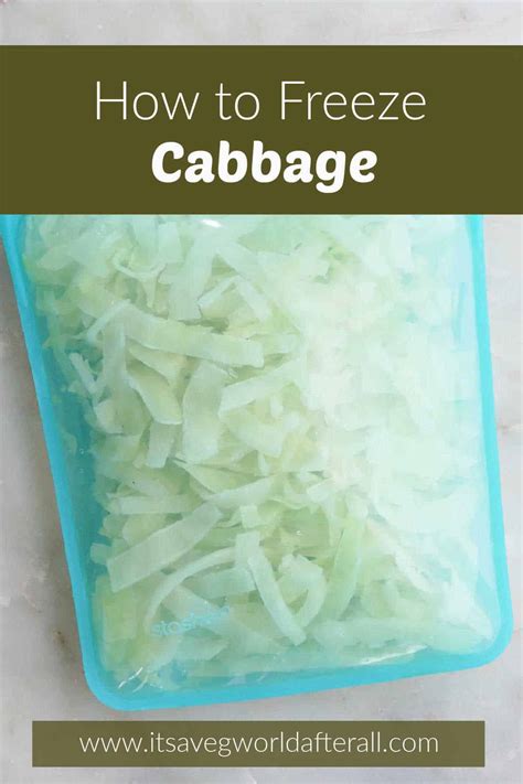 How to Freeze Cabbage - It's a Veg World After All®