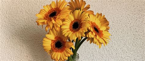 Download wallpaper 2560x1080 gerbera, bouquet, hand, tattoo dual wide ...