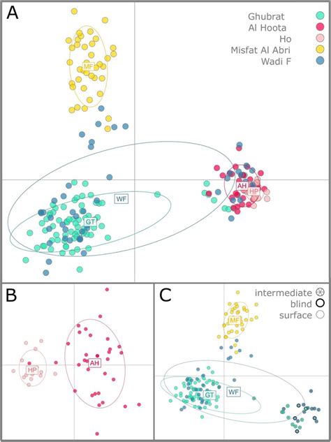 Pca Model 的图像结果