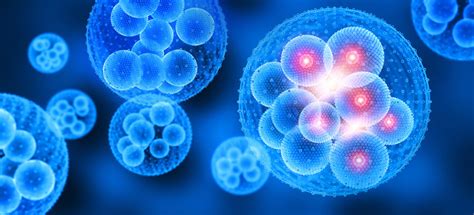 Image result for Implementation for Human Augmentation