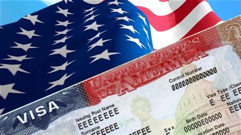 US visa processing time expected to fall by mid-2023, says official