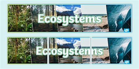 Ecosystems Photo Display Banner (teacher made) - Twinkl