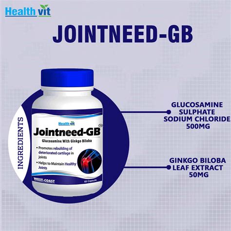 Buy HEALTHVIT JOINTNEED-GB GLUCOSAMINE 350MG, GINKGO BILOBA 50MG - 60 ...