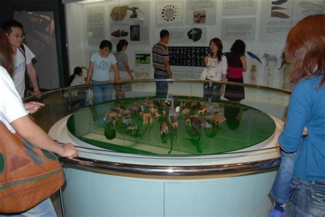 【中国科学报】造一座国家级自然博物馆----古脊椎动物与古人类研究所
