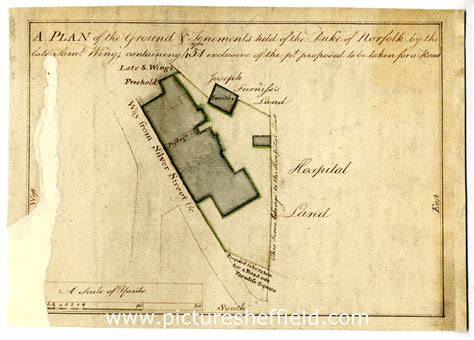 Searching Picture Sheffield