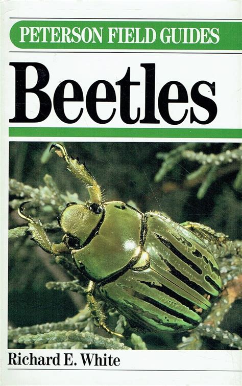 Buy Field Guide to Beetles (Peterson Field Guides) Book Online at Low ...
