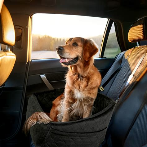 Dog Car Booster Seat | "Paws Ride" by Owleys - Free Shipping Today