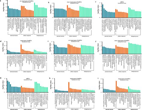 Go Annotation Tools 的图像结果