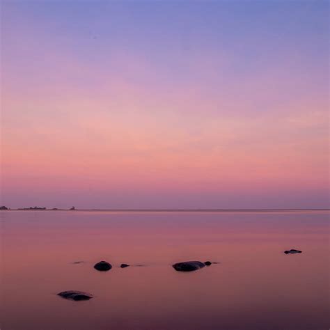 GÄDDENÄS (2025) All You Need to Know BEFORE You Go (with Photos ...