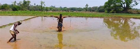 Annam Parabrahma Swaroopam Movie Show Time in Eluru | Annam Parabrahma ...