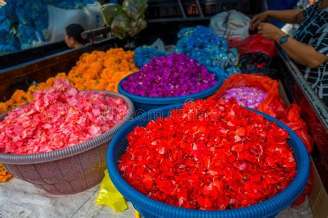 Bali Flower Market 的图像结果