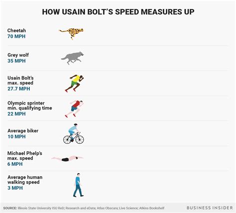 Usain Bolt Top Speed : Speed Comparison: Average Person VS Usain Bolt ...