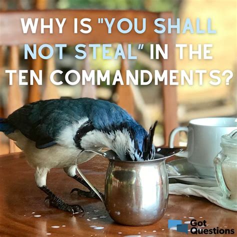 Why is “You shall not steal” in the Ten Commandments? | GotQuestions.org