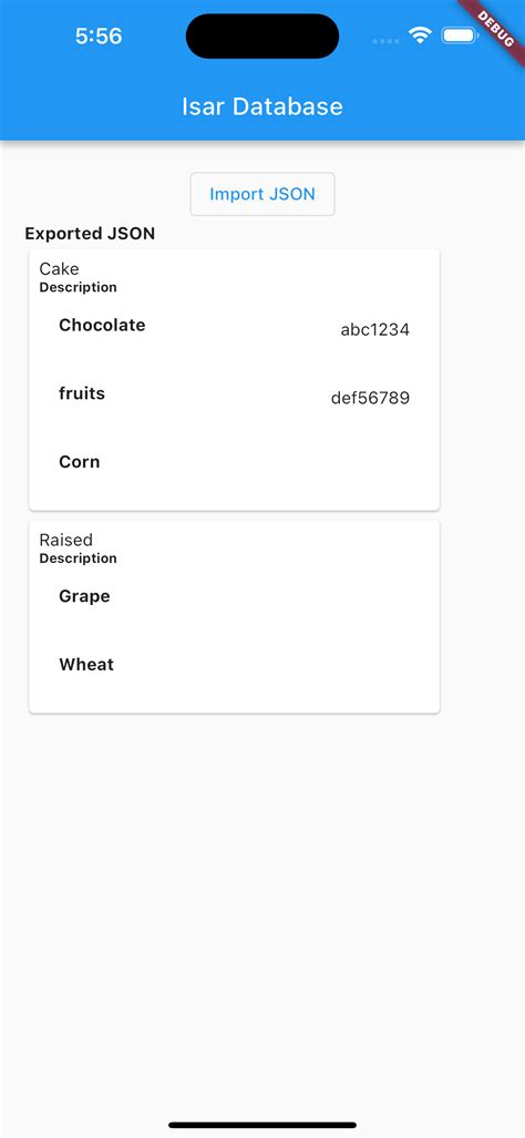 How to Create JSON File for Flutter 的图像结果