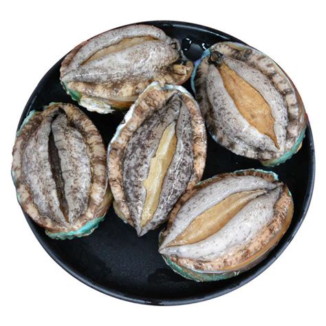 活冻鲍鱼新西兰冷冻蓝鲍鱼带壳蓝鲍鱼餐厅商用食材54-78克只1kg包-阿里巴巴