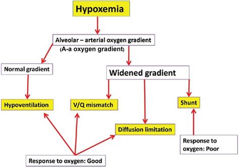 Hypoxia, hypoxemia, causes, symptoms, diagnosis & treatment