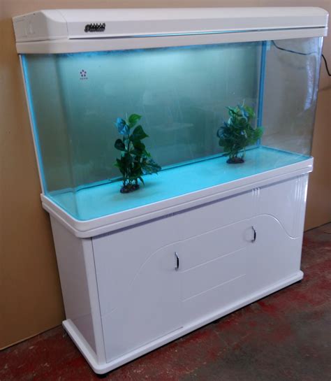 Laminated Glass Aquarium at John Froehlich blog