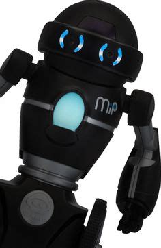 MIP Balancing Robot 的图像结果