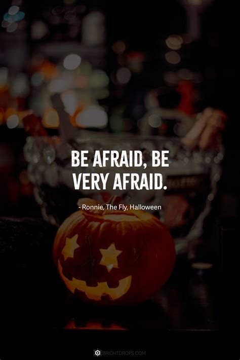 50 Spooky (And Funny) Halloween Quotes - Bright Drops