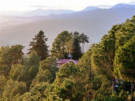 Explore the unique culture of Almora