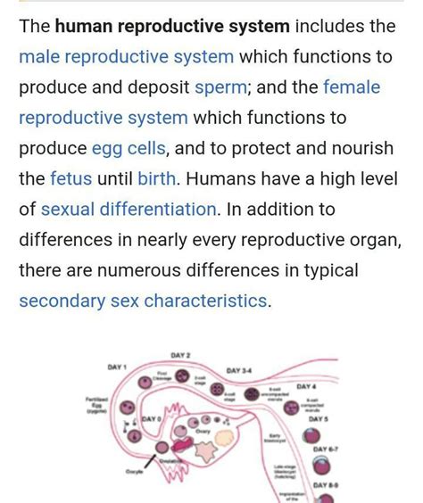 refrence of human reproductive system - Brainly.in