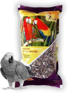 Parrots Wizard Large Size Parrot Food Sunflower Bird Food Nuts 0.5 kg ...