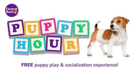 Puppy Hour- Free weekly puppy play & socialization!, Central Bark ...